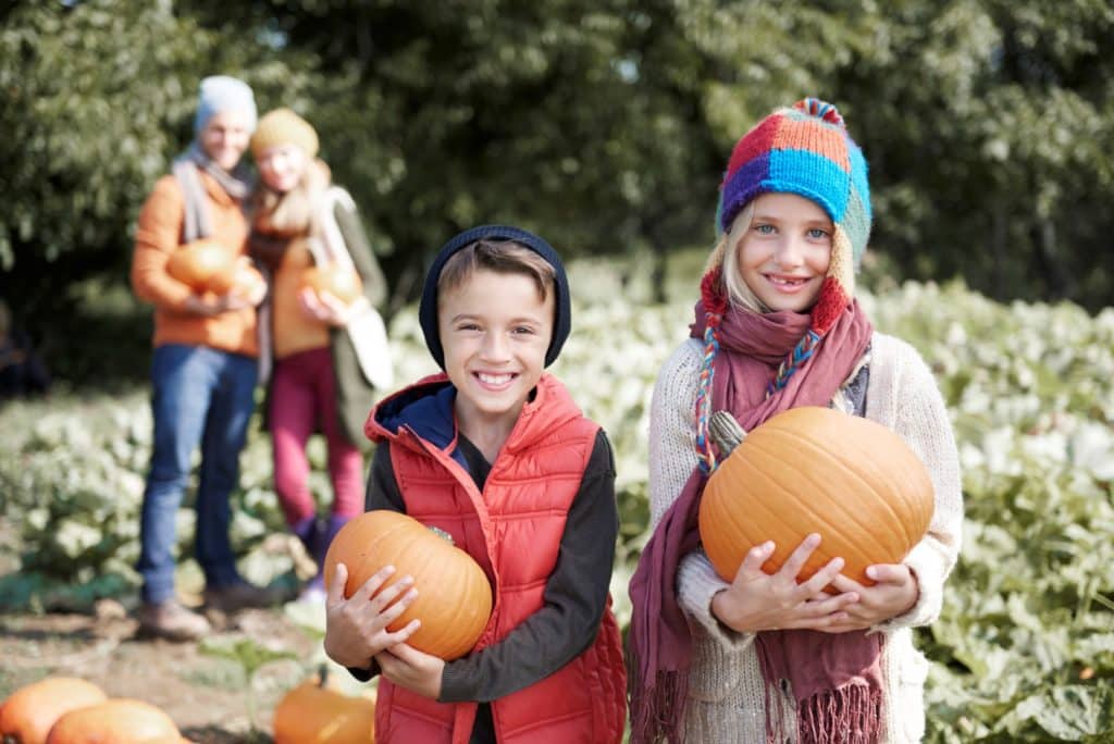 Pumpkin Printable Scavenger Hunt