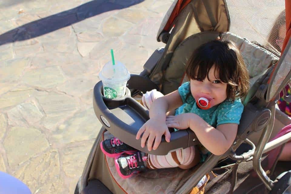 Disneyland new stroller rules