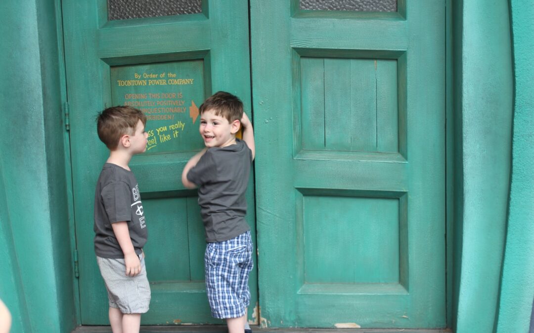 Taking Twins to Disneyland