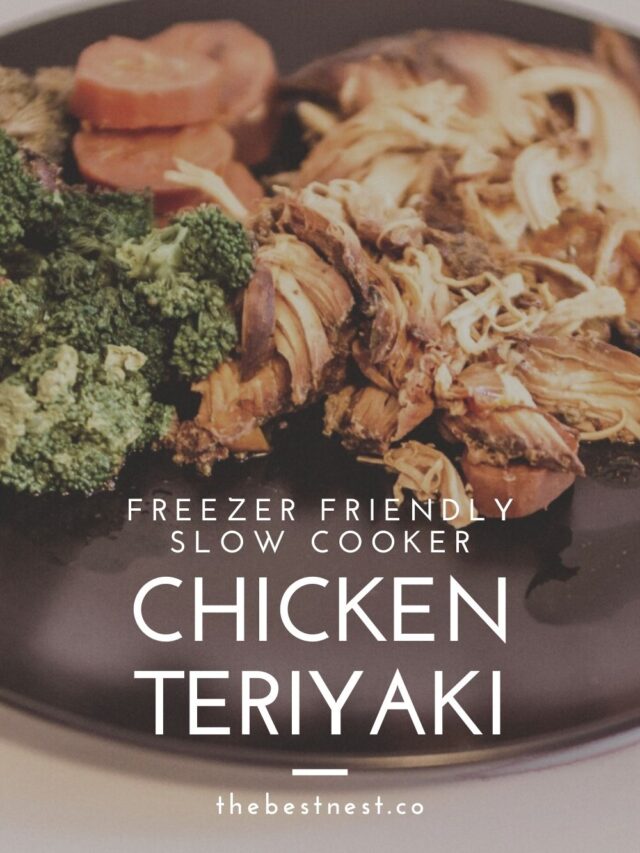 Slow Cooker Chicken Teriyaki Freezer Meal