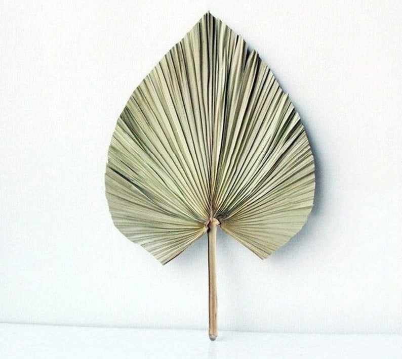 a single dried palm leaf as a bed room decor item