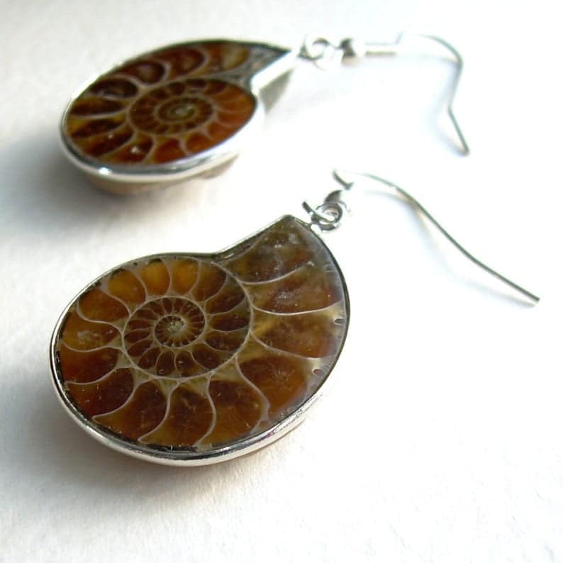 Small Ammonite Earrings, Science Geek Jewelry, Fossil Gifts for Geologists
