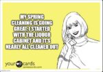 Funny Spring Cleaning Memes for Moms