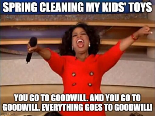 Funny Spring Cleaning Memes for Moms