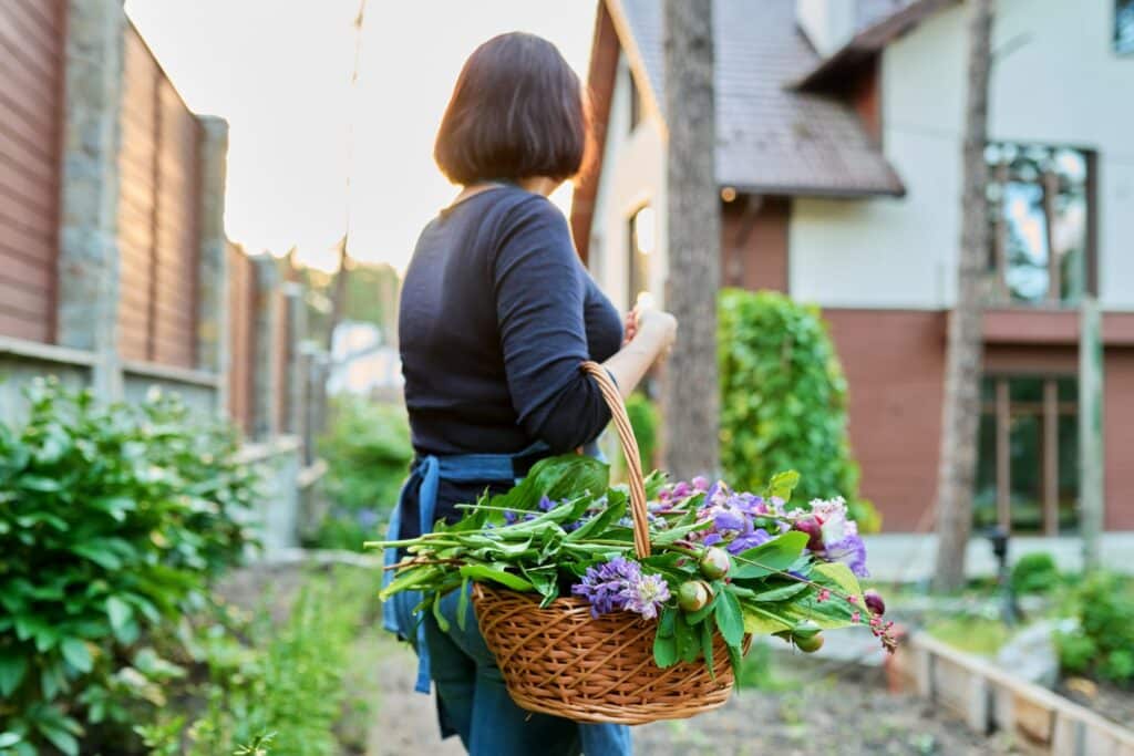 Featured image for Mother's Day Garden Gifts, it's a woman in the garden carrying a basket of picked flowers