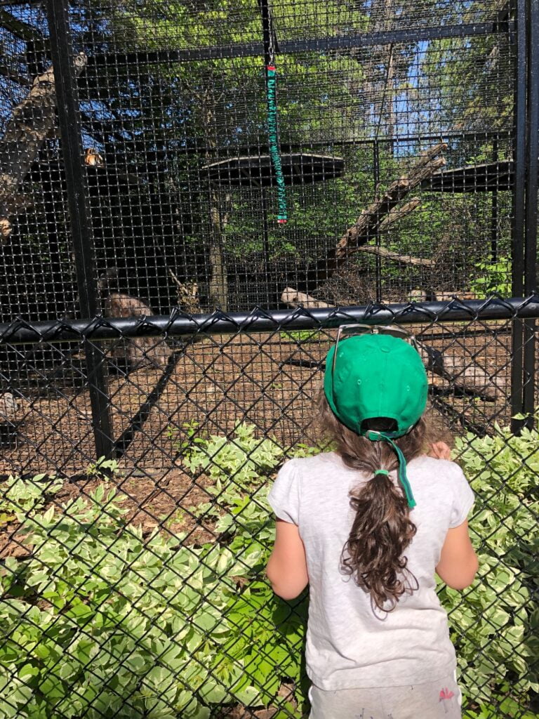 Child at the zoo looking for animals.