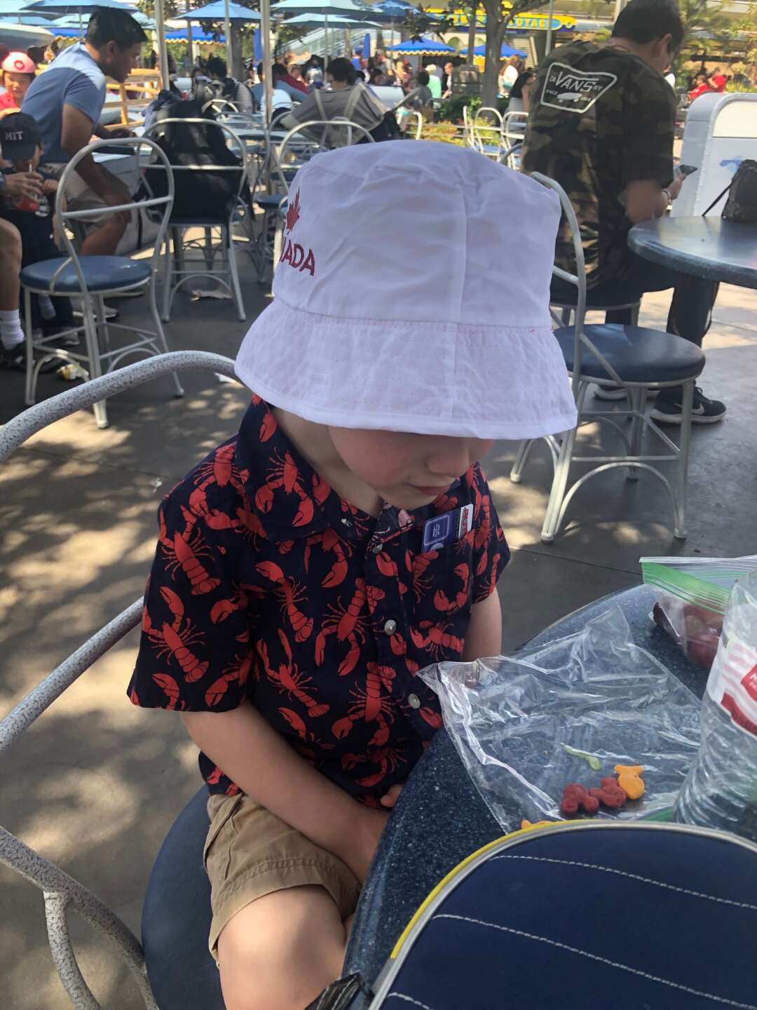 5 Places to Eat a Packed Lunch in Disneyland