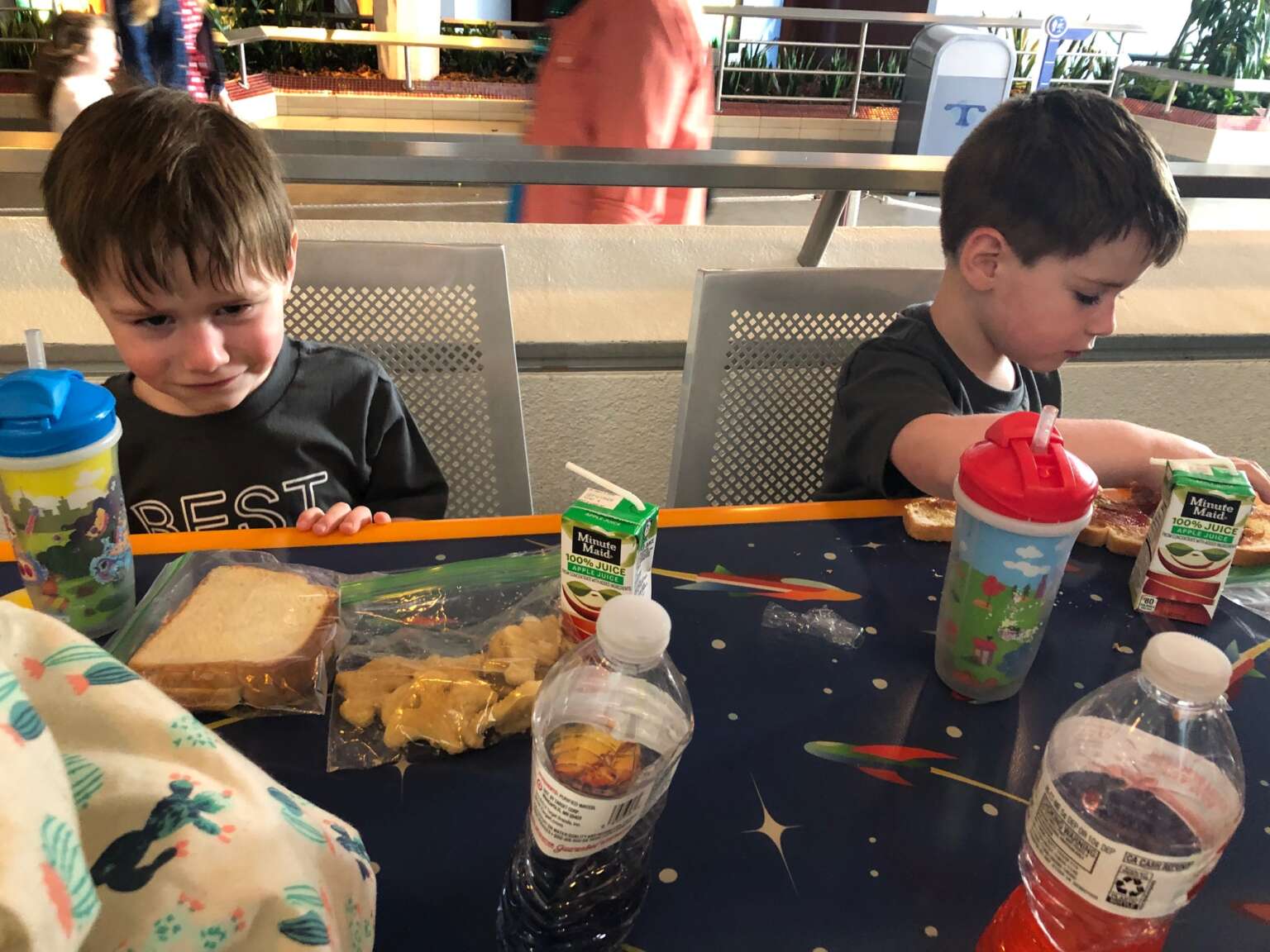 5 Places to Eat a Packed Lunch in Disneyland