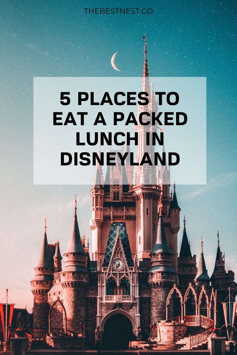 5 Places to Eat a Packed Lunch in Disneyland