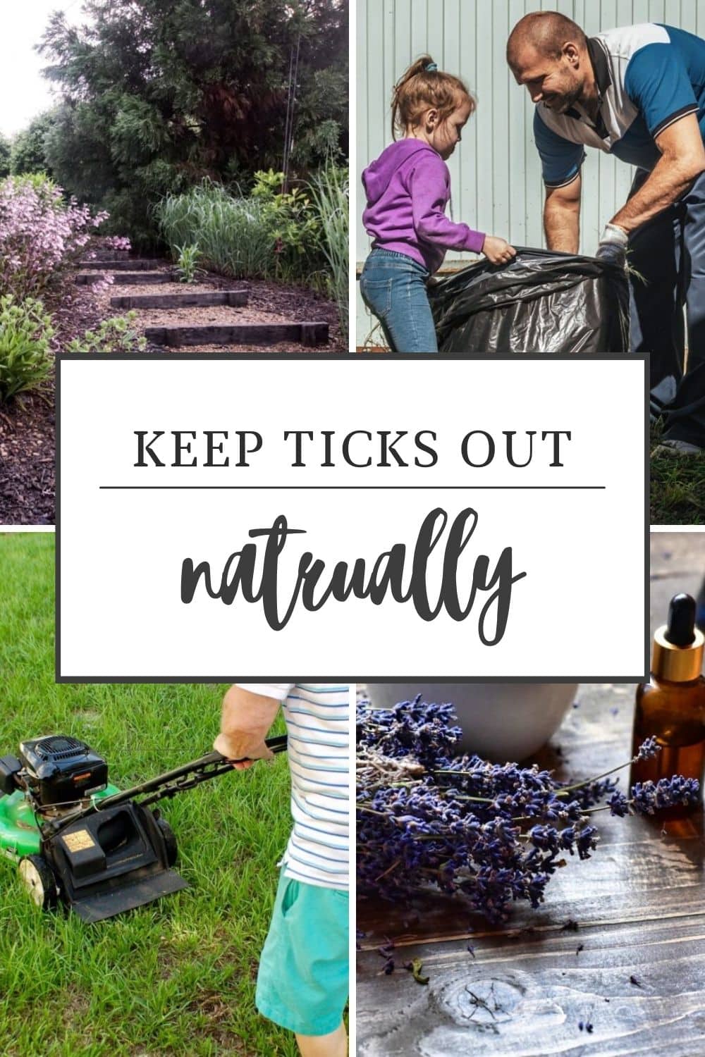 How to Keep Ticks Out of Your Yard Naturally