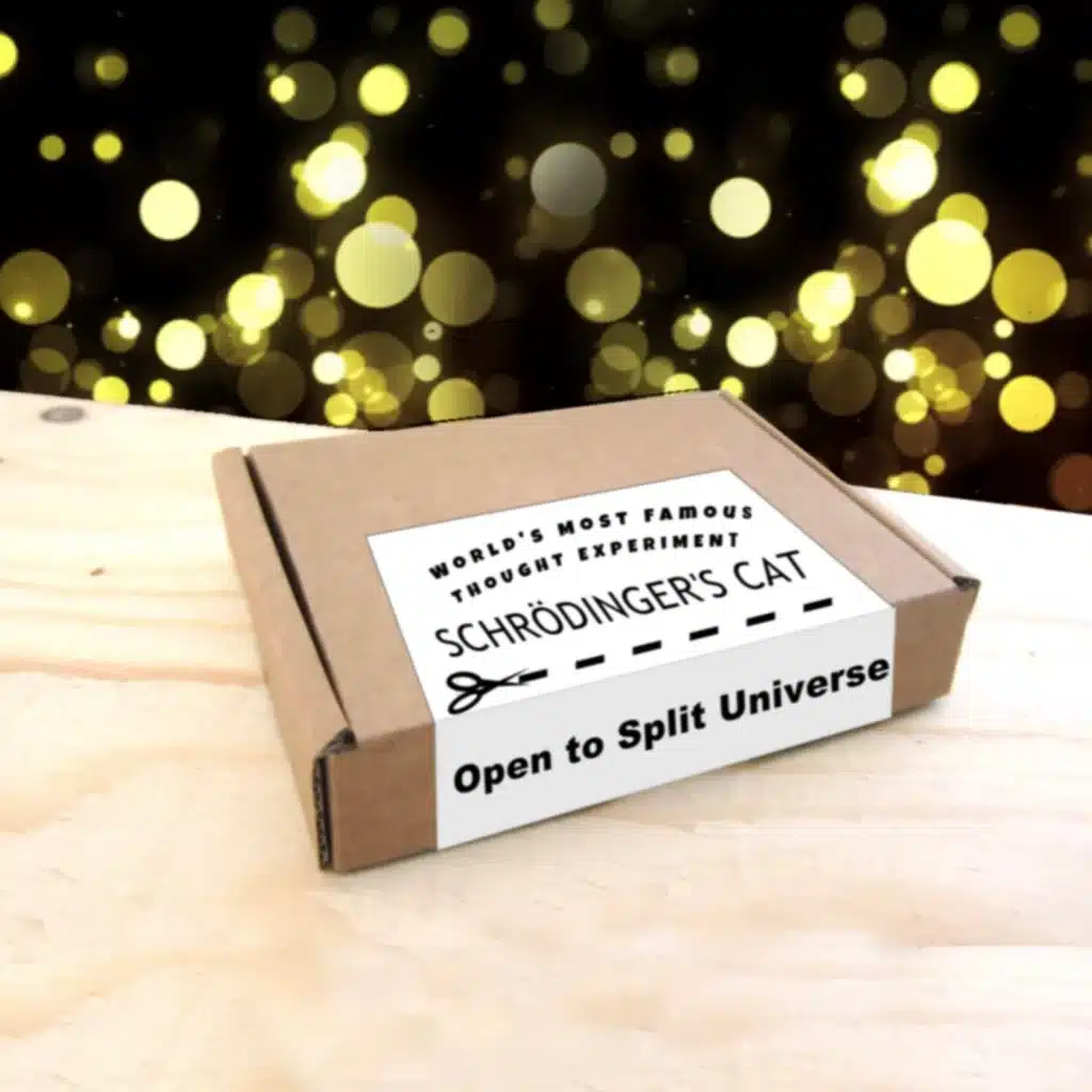 Schrodinger's Cat in a Box